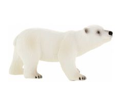 Medveď biely 01