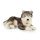 Plyšový sibírsky husky, 60 cm Eco-friendly