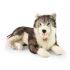 Plyšový sibírsky husky, 60 cm Eco-friendly