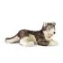 Plyšový sibírsky husky, 60 cm Eco-friendly