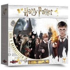 Harry Potter: Rok v Bradavicích