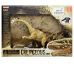 Brachiosaurus - Dinosaurus model