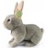 Plyšový králik šedá, 23 cm Eco-friendly SOFT