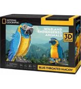 3D puzzle Ara modrokrká